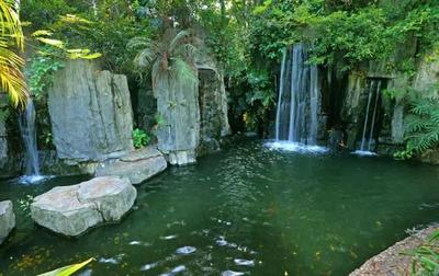 安利纽崔莱是否靠谱？揭秘其自营农场与工厂的硬实力