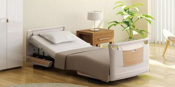 2024日本家具品牌TOP20与家居护理全攻略